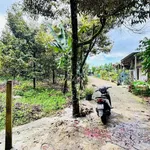 Bán 3 lô đất liền kề 186m² Bảo Lộc 1 tỷ 7 - Ảnh thu nhỏ 4