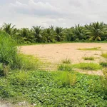 Bán đất vườn 1.650m² (600m² thổ cư) Đồng Tháp 4,2 tỷ - Ảnh thu nhỏ 3