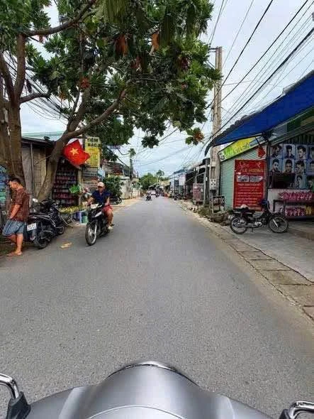 Bán đất Tân Triều 84m² 1 tỷ 399 triệu - Ảnh thu nhỏ 3
