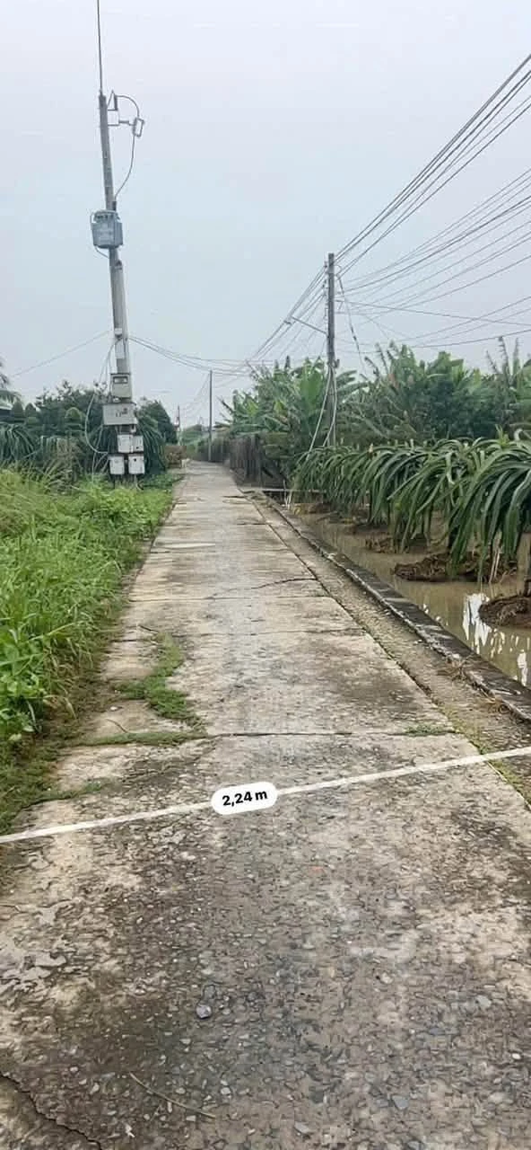 Bán lô đất An Lục Long 160m², 250 triệu, Nhà Bè - Ảnh 1