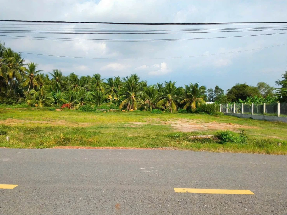 Bán đất mặt tiền đường nhựa lớn Tam Hạp, Thái Bình, Châu Thành, Tây Ninh - Ảnh thu nhỏ 2