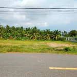 Bán đất mặt tiền đường nhựa lớn Tam Hạp, Thái Bình, Châu Thành, Tây Ninh - Ảnh thu nhỏ 2