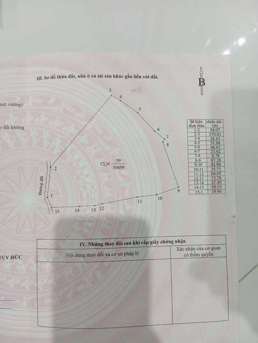 Bán đất 3 hecta sổ hồng, 60m mặt tiền, Đắk Nông - Ảnh thu nhỏ 2