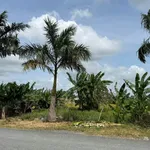 Bán đất mặt tiền Nguyễn Hoàng Anh Tân Trụ 125m2, sổ hồng - Ảnh thu nhỏ 1