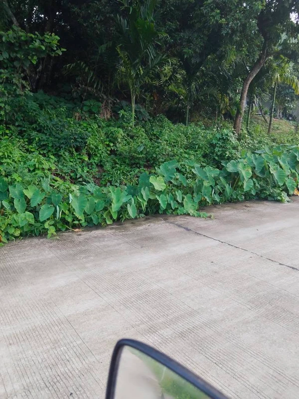 Bán đất nền 500m² Kỳ Sơn, Hòa Bình từ 2 tỷ