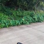 Bán đất nền 500m² Kỳ Sơn, Hòa Bình từ 2 tỷ - Ảnh thu nhỏ 1