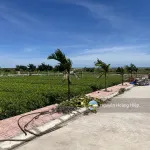 Bán gấp đất biển Quất Lâm Nam Định cách bãi tắm 100m, đường ôtô tránh cạnh khu du lịch giá 1.x tỷ - Ảnh thu nhỏ 6