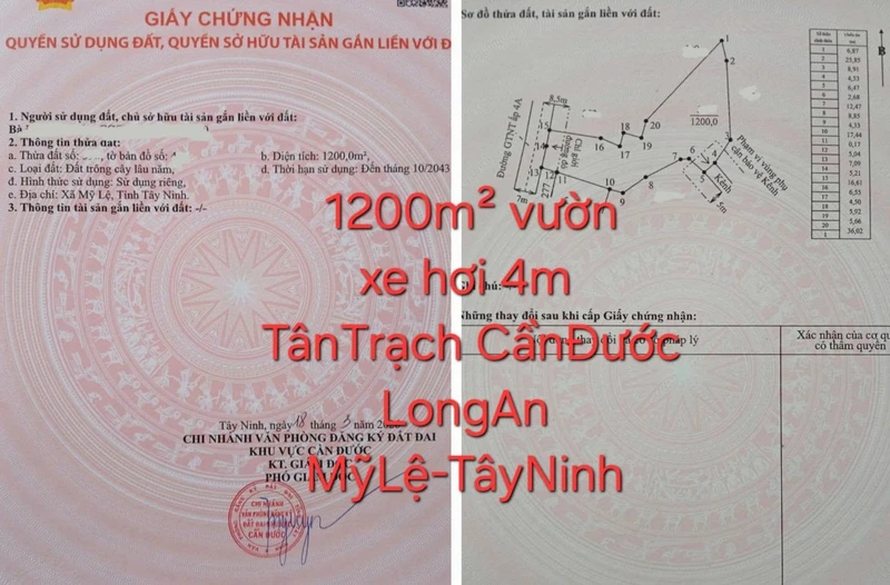 Bán 1200 m² đất vườn Tân Trạch Cần Dước Long An 1 tỷ 100 triệu