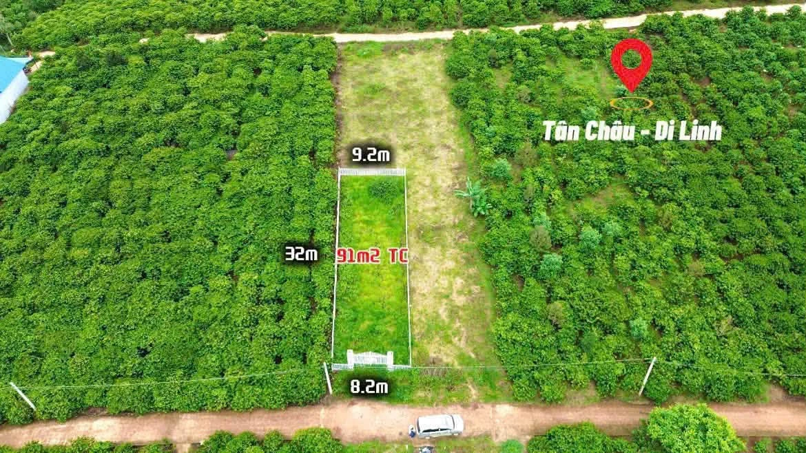 Bán đất thổ cư 91m2 giá 709 triệu gần QL28, Di Linh, Lâm Đồng - Ảnh thu nhỏ 4
