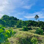 Bán rẫy cà phê 4,5 ha Đắk Lắk, có cơ sở vật chất - Ảnh thu nhỏ 1