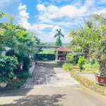 Nhà vườn mái Nhật 200m2 4PN 3WC Tạ Quang Bửu gần chợ - Ảnh thu nhỏ 3