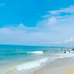 Diện tích lớn 1.4ha, có 500m2 thổ cư, đường ô tô, SHR, tại La Gi, thích hợp làm Homestay, phân lô - Ảnh thu nhỏ 15