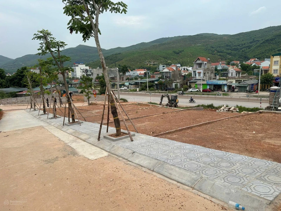 Mua đất ở Hạ Long không mua ở đây thì mua ở đâu nữa - Ảnh thu nhỏ 5