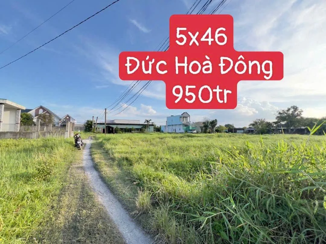 Bán đất Đức Hoà Đông 230m² - 950 triệu - Ảnh 1