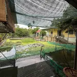 Bán đất view 2386m2 Bình Minh Đồng Nai, 6 tỷ - Ảnh thu nhỏ 3