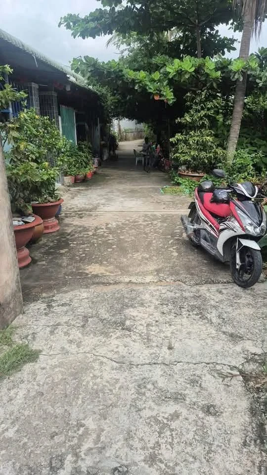 Bán nhà đất thổ cư 1100m2 Tân Long An giá 2 tỷ - Ảnh thu nhỏ 2