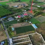 Bán đất 964m2 Phước Hải, Bà Rịa - Vũng Tàu 2.8 tỷ - Ảnh thu nhỏ 1