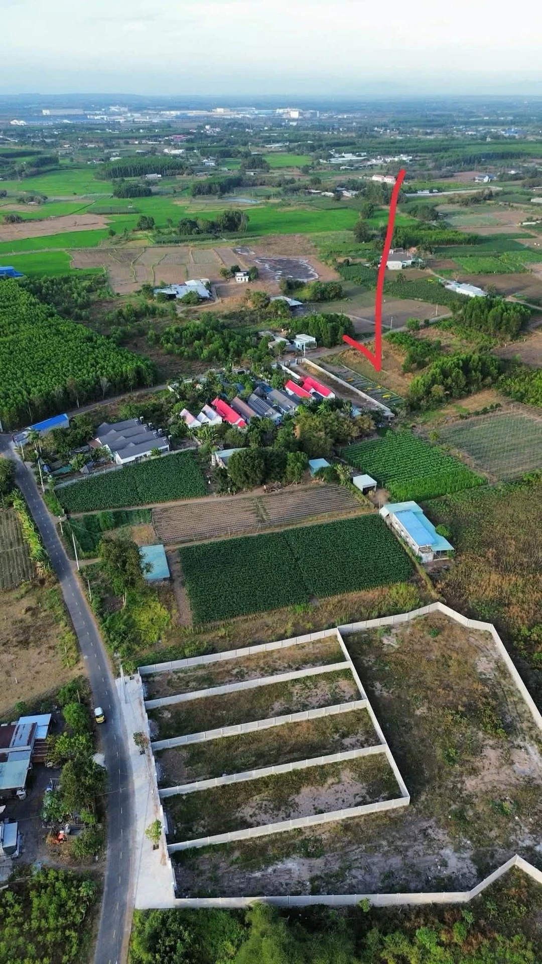 Bán đất 964m2 Phước Hải, Bà Rịa - Vũng Tàu 2.8 tỷ - Ảnh 1