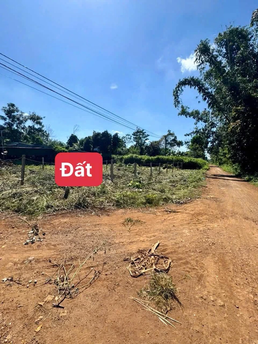 Bán đất Tara Khánh Hòa 120m² 479 triệu gần sân bay - Ảnh thu nhỏ 4