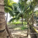Bán nền đất 405m² Long Hòa Bình Đại Bến Tre 730 triệu - Ảnh thu nhỏ 2