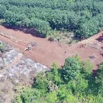 Bán đất nông nghiệp 7 sào Đắk Nông 1,9 tỷ - Ảnh thu nhỏ 4
