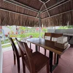 Bán biệt thự 572m2 gần khu công nghiệp Giao Long giá 1 tỷ 390 - Ảnh thu nhỏ 4