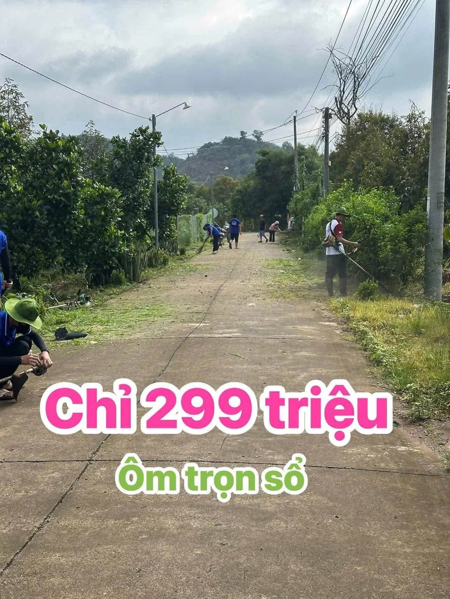 Bán đất Đồng Nai 115m2 giá 299 triệu - Ảnh thu nhỏ 4