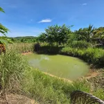 Bán 1.700m² đất vườn Diên Thọ, Khánh Hòa 579 triệu - Ảnh thu nhỏ 2
