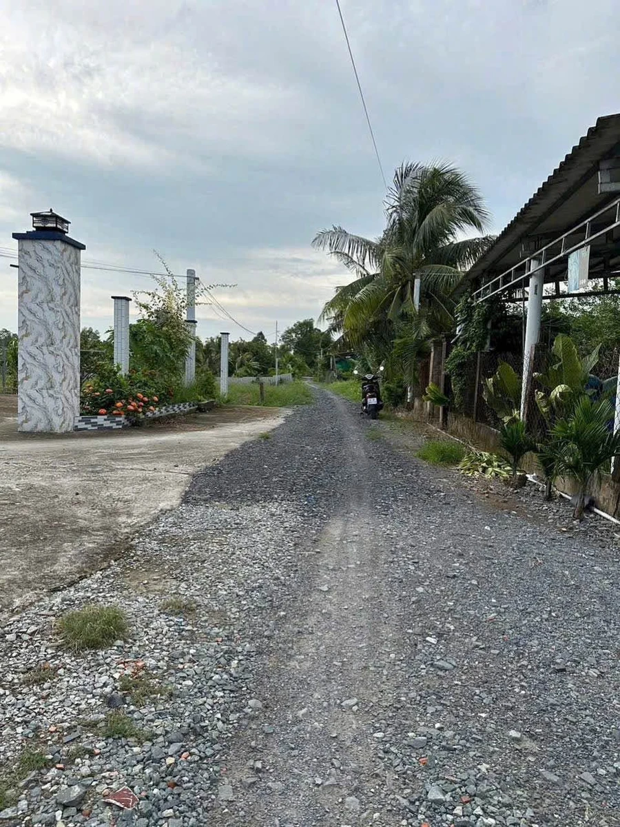 Bán 500m² đất lúa có thổ cư tại Tây Ninh, mặt tiền Thầy Bờ - Ảnh 1