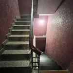 Bán nhà mặt tiền 80m2 khu Cư xá Đài Rada, Quận 6, giá 11,8 tỷ - Ảnh thu nhỏ 4