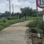 Bán 9000m² đất lúa Châu Thành Long An - Ảnh thu nhỏ 2