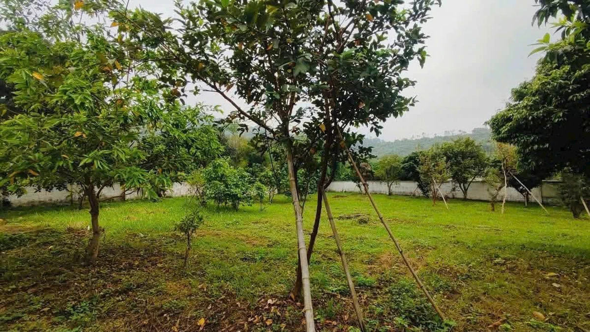 Bán villa vườn 1.846m² Yên Bài Ba Vì Hà Nội - Ảnh 1