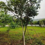 Bán villa vườn 1.846m² Yên Bài Ba Vì Hà Nội - Ảnh thu nhỏ 1