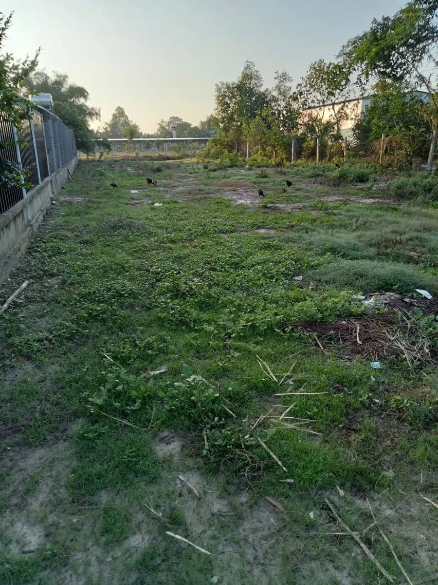 Bán đất 250m² Gò Dầu Tây Ninh gần bệnh viện - Ảnh thu nhỏ 5