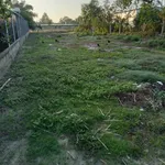 Bán đất 250m² Gò Dầu Tây Ninh gần bệnh viện - Ảnh thu nhỏ 5
