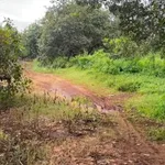 Bán gấp 6,8ha đất vườn điều, 400m thổ cư tại Long Hà, Phú Riềng, Bình Phước giá 8,4 tỷ - Ảnh thu nhỏ 1