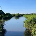 Bán 52.000m² đất nuôi tôm cua Năm Căn Cà Mau 3 tỷ 744 triệu - Ảnh thu nhỏ 2