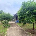 Nhà vườn cây ăn trái 3000m2, 300m2 thổ cư, gần QL 13 - Ảnh thu nhỏ 3