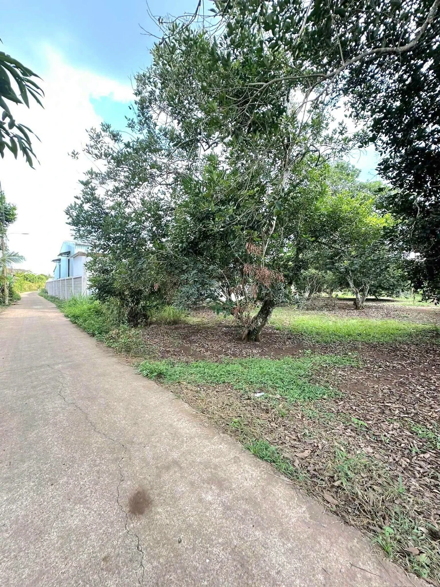 Bán đất 500m² vườn chôm chôm Phường Bảo Vinh, 1 tỷ 600 triệu - Ảnh thu nhỏ 2