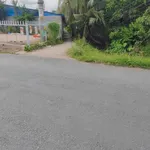 Bán đất vườn dừa 1,6 công Giồng Trôm Cần Giờ - Ảnh thu nhỏ 1