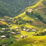 Bán nhà sàn 2 tầng homestay 1000m² Sa Pa - Ảnh thu nhỏ 1