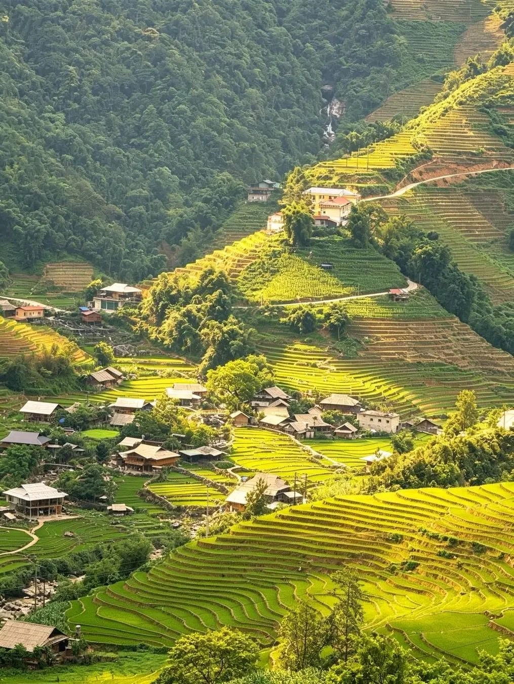 Bán nhà sàn 2 tầng homestay 1000m² Sa Pa - Ảnh 1
