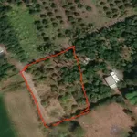 Bán 1000m² đất Phường Bảo Vinh 2 mặt tiền 820 triệu - Ảnh thu nhỏ 3