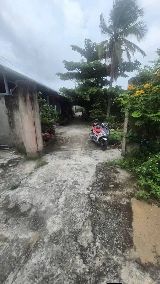 Bán gấp nhà chưa tô 1.100m2 đất thổ tại xã Bình Tâm, TP Tân An, Long An - Ảnh 1