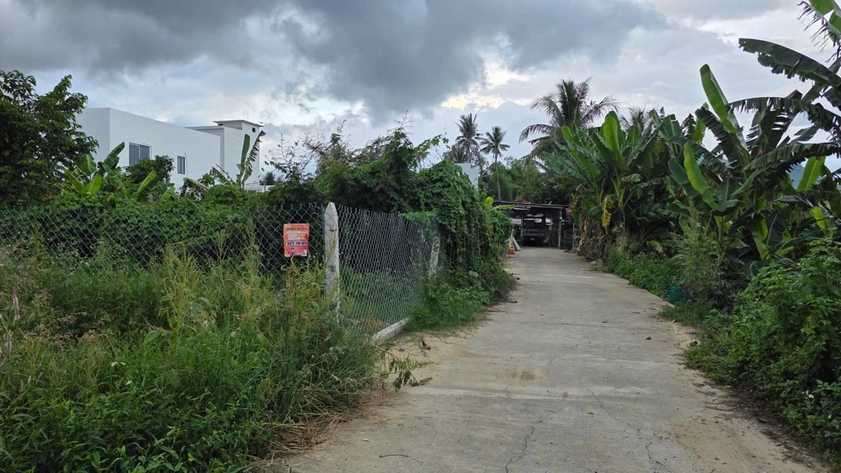 Bán đất 100m2 Xã Diên An Khánh Hòa 2 tỷ - Ảnh thu nhỏ 4