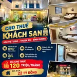 Bán khách sạn cao cấp 300m² tại Việt Sing, Thuận An, Bình Dương - 22 tỷ - Ảnh thu nhỏ 1