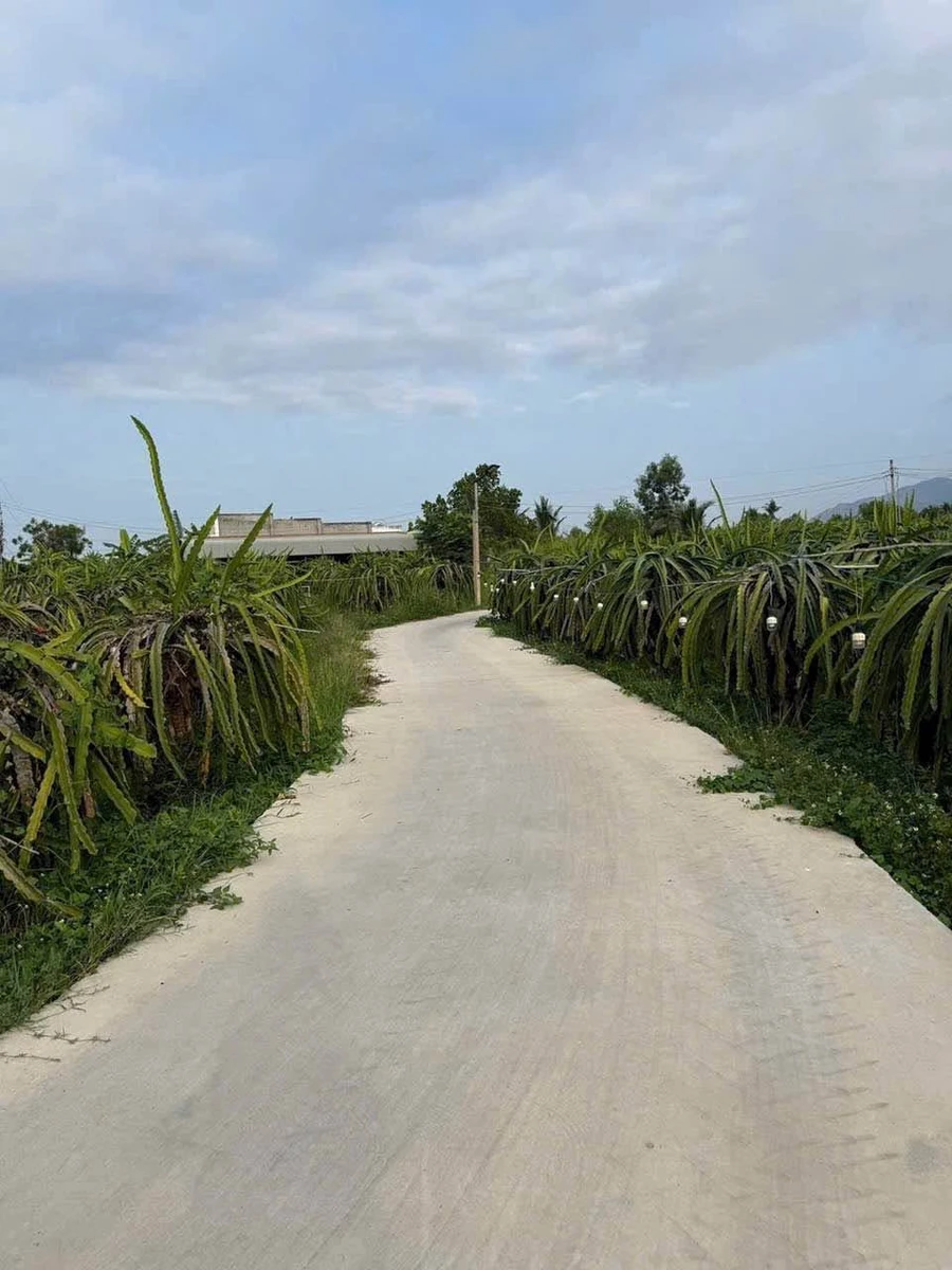 Bán lô đất 200m² xây nhà ở 190 triệu Hàm Liêm - Ảnh 1