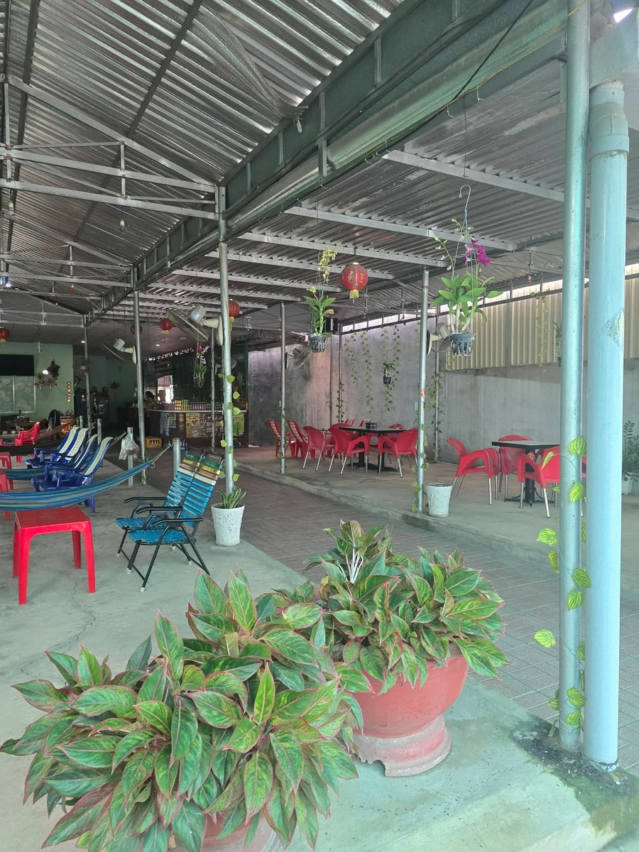 Bán đất 540m² tặng nhà 2PN + quán cà phê mặt tiền Quốc lộ 22B, Tây Ninh - Ảnh thu nhỏ 3