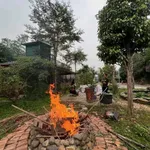 Nhà vườn Song Phương 1.500m² cho thuê 7 triệu/tháng - Ảnh thu nhỏ 4