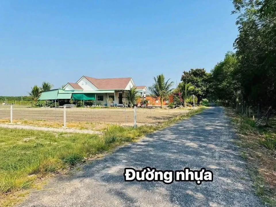 Bán đất vườn 5x100m (500m2) đường nhựa 8m tại Phường Bình Minh, Tây Ninh - Ảnh thu nhỏ 3